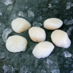 Rohe Jakobsmuscheln, dekorativ angerichtet auf einer schwarzen Schieferplatte für Gezer Gastrokunden.