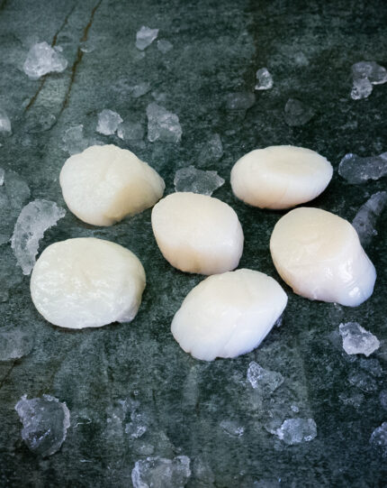 Rohe Jakobsmuscheln, dekorativ angerichtet auf einer schwarzen Schieferplatte für Gezer Gastrokunden.