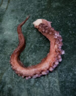 Vorgegarte Oktopusarme – Bild 2