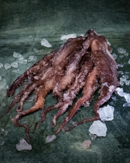 Oktopusarme gegart, appetitlich angerichtet auf einer Schieferplatte für Gezer Kunden.