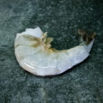 Garnelen 31/40 geschält, küchenfertig auf einer Schieferplatte präsentiert für Gezer Kunden.