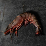 Rohe Black Tiger Riesengarnelen Größe 4/6, roh und mit Kopf/Schale auf einer Schieferplatte präsentiert für Gezer Kunden.