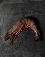 Rohe Black Tiger Riesengarnelen Größe 4/6, roh und mit Kopf/Schale auf einer Schieferplatte präsentiert für Gezer Kunden.