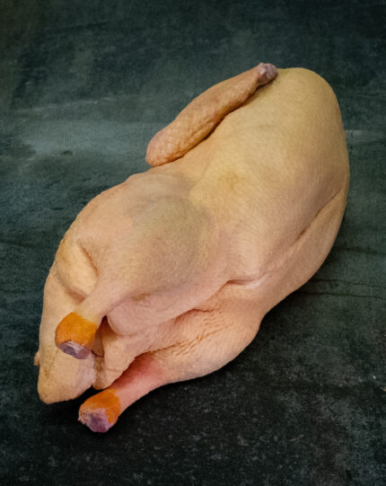 Ganze Ente, küchenfertig präsentiert auf einer Schieferplatte für Gezer Kunden.