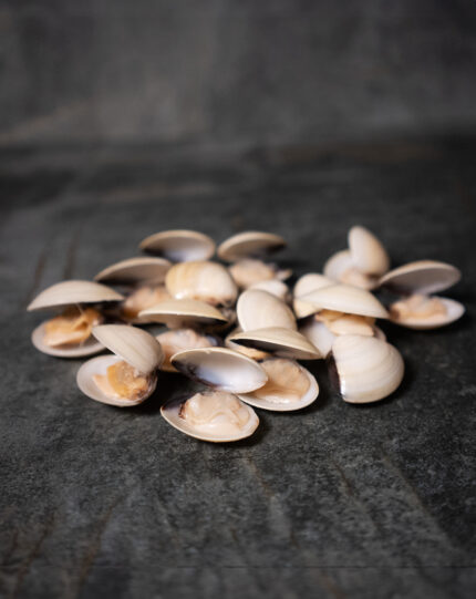 Venusmuscheln mit Schale (gekocht), natürlich präsentiert auf einer Schieferplatte für Gezer Kunden.
