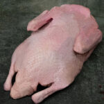 Rohe ganze Ente, küchenfertig pariert auf einer Schieferplatte für Gezer Gastronomie-Kunden.