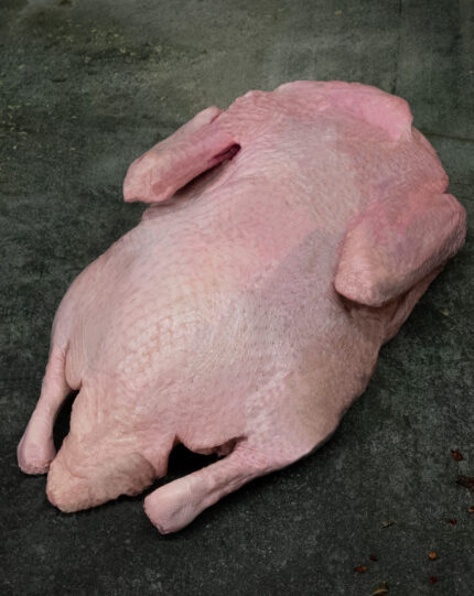 Rohe ganze Ente, küchenfertig pariert auf einer Schieferplatte für Gezer Gastronomie-Kunden.