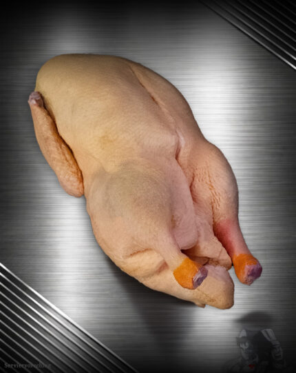 Ganze Ente aus Pommern roh