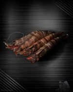 Sea Tiger Garnelen - Riesengarnelen